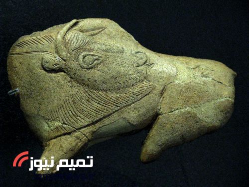 هنر در غارنشین ها