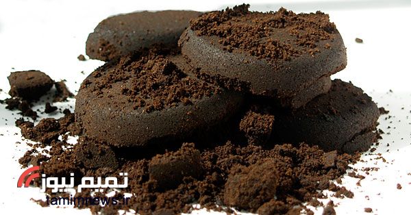 چگونه حشرات خانگی را از بین ببریم؟