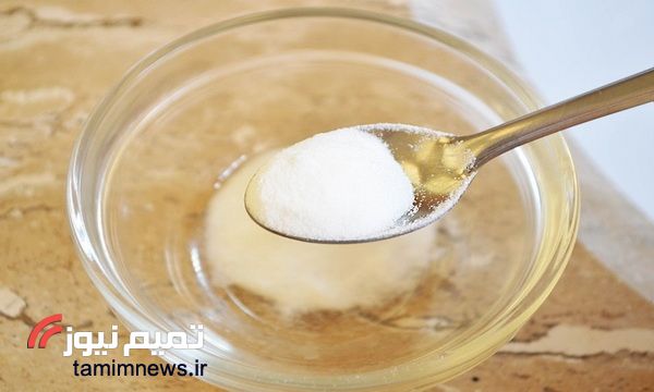 چگونه حشرات خانگی را از بین ببریم؟