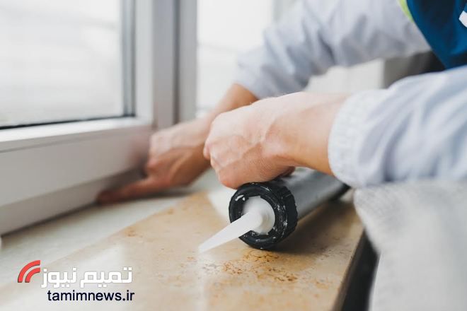 چگونه حشرات خانگی را از بین ببریم؟