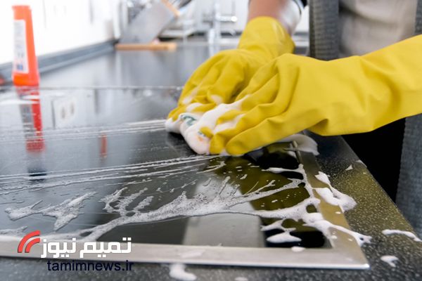 چگونه حشرات خانگی را از بین ببریم؟