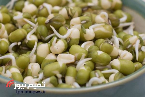 سبزه ماش