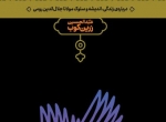 پله پله تا ملاقات خدا - عبدالحسین زرین کوب